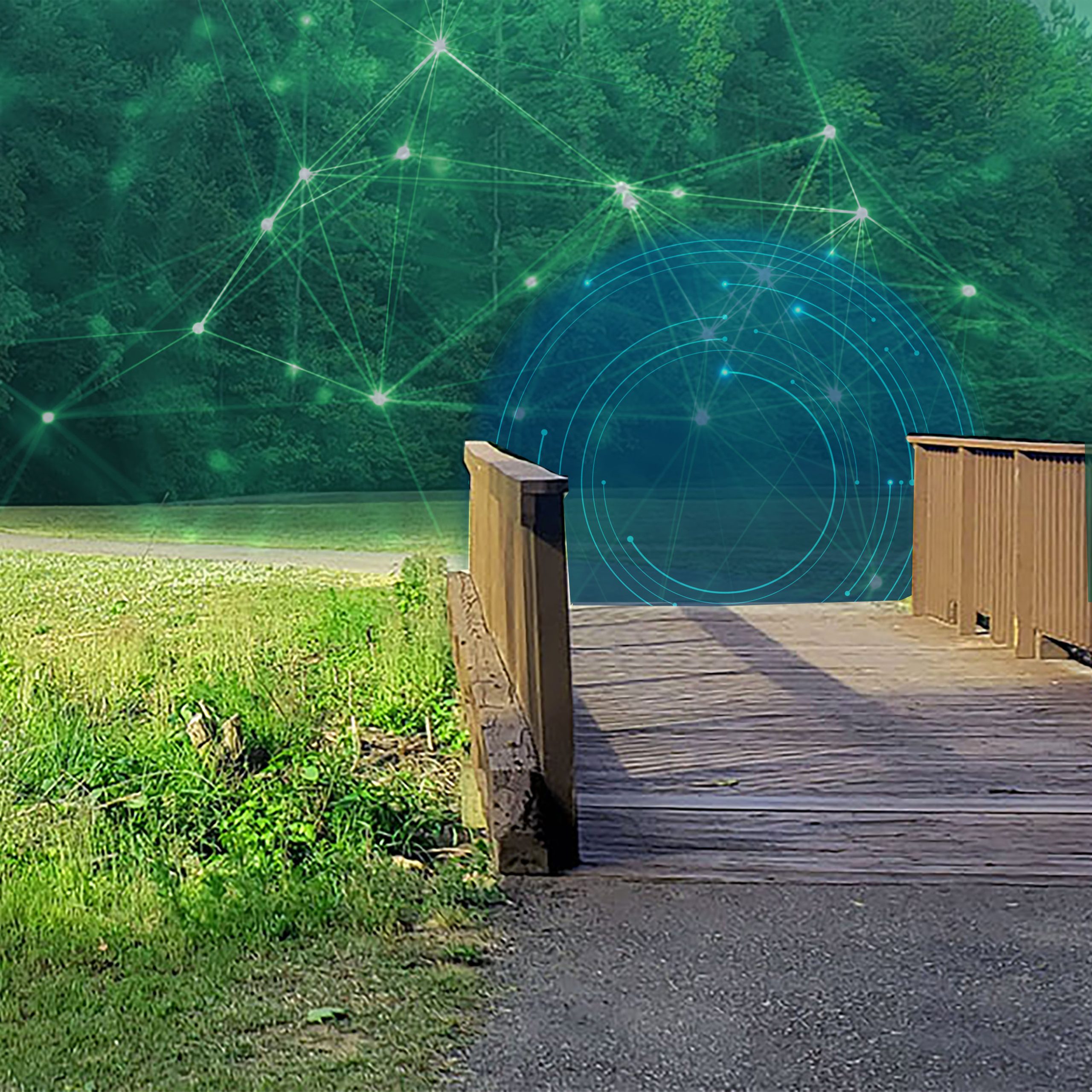 Conscious Connections